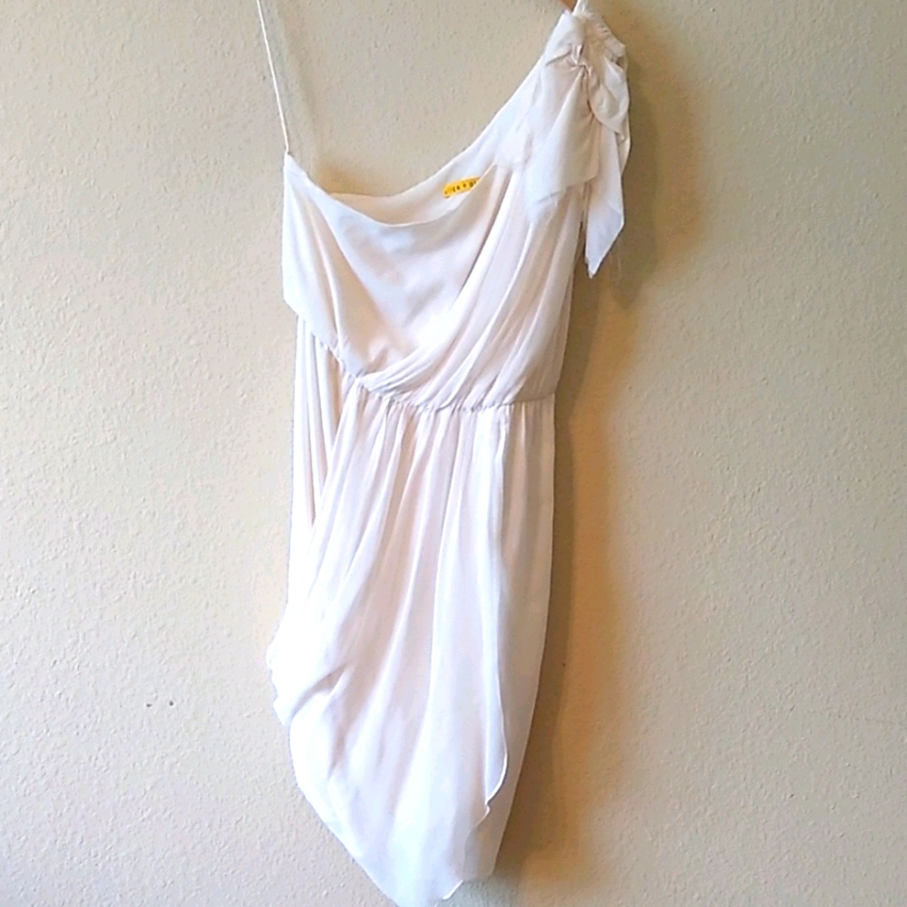 Alice and Olivia dress